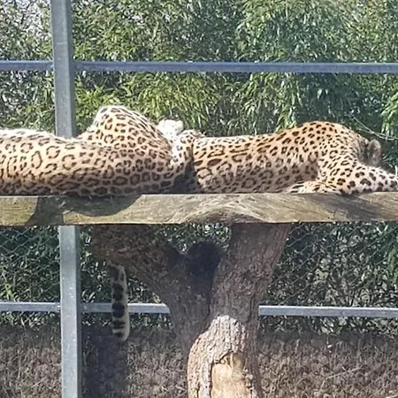 Maison De Berry Gæstehus