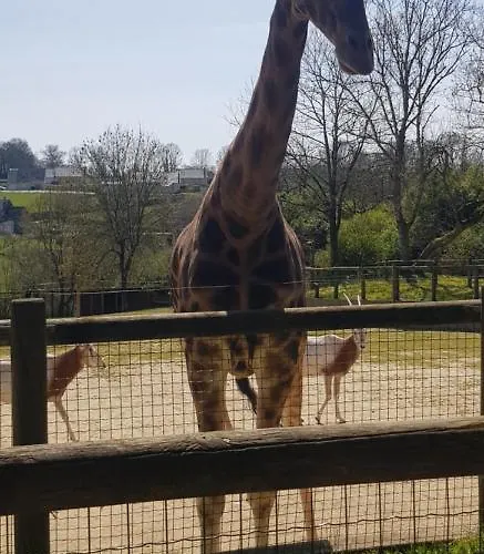 Maison De Berry Guest house 3*